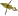 Saltarello.html